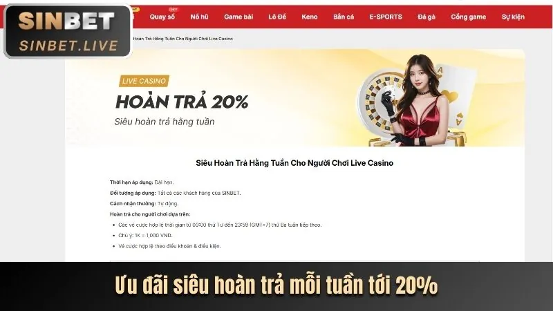Hoàn trả hàng ngày/tuần tại saowin
